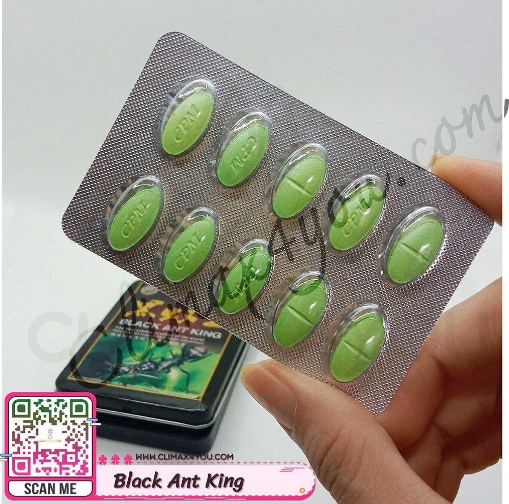 Black Ant King I มดดำจักรพรรดิ์