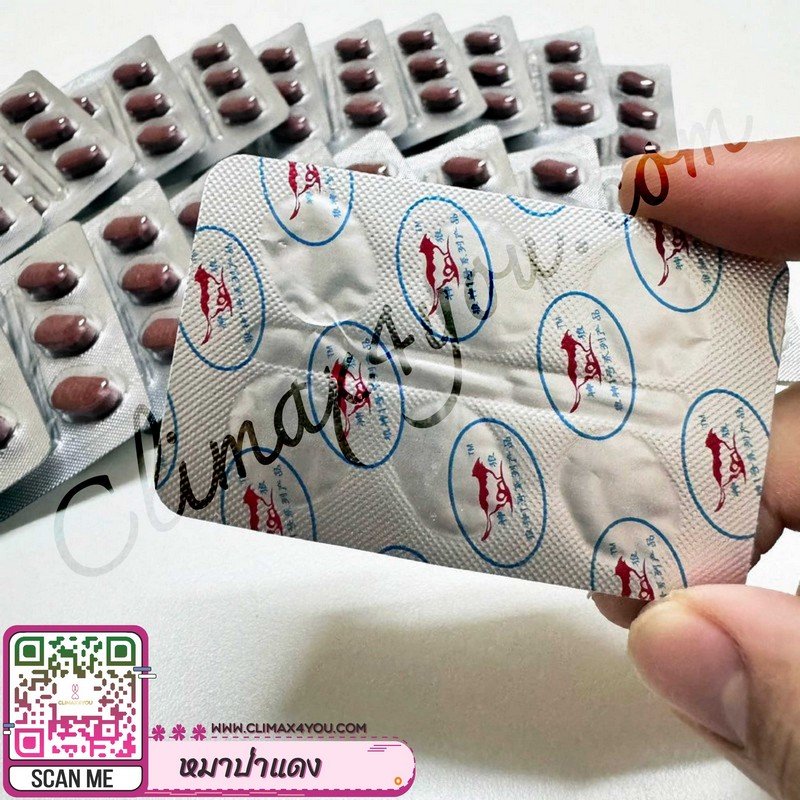 Red Wolf Viagra I หมาป่าแดง [แท้ 100%]